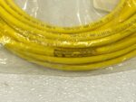 NEW Brad Connectivity 804001B02M100 1200651321 Micro-Change Cordset M12 269F