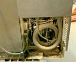 True TBB-3G-HC-LD 69" 2 Glass Swing Door Back Bar Refrigerator Cooler W/Lighting