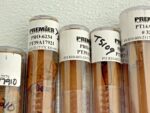 Premier Tooling Systems Variety Lot Of 24 Carbide Drill Bit Tooling 252A