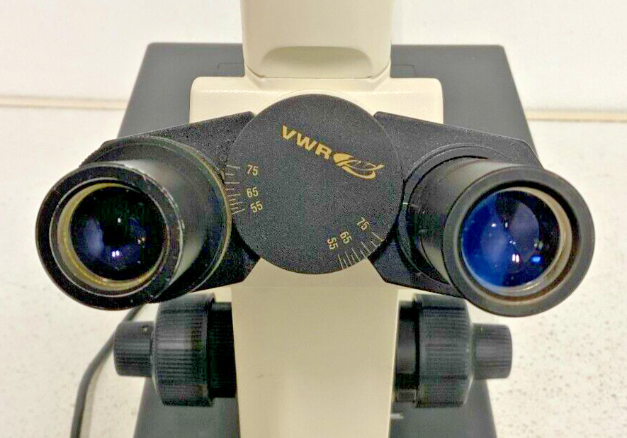 Vista Vision VWR Lab Trinocular inverted Fluorescence Microscope 5 Objectives_10 Vista Vision VWR Lab Trinocular inverted Fluorescence Microscope 5 Objectives