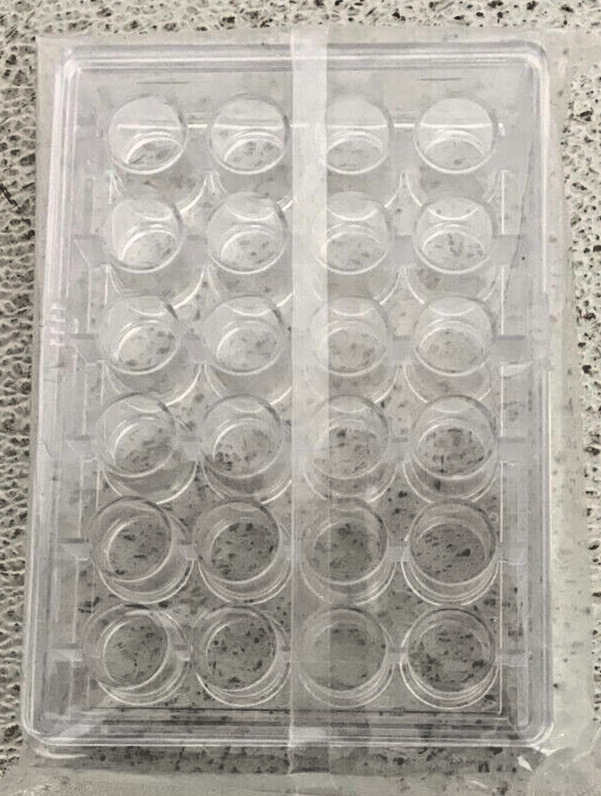 NEW Lot of 8 Fisherbrand Flat Bottom Sealed Tissue Culture Plates 24 Wells 258E_1 NEW Lot of 8 Fisherbrand Flat Bottom Sealed Tissue Culture Plates 24 Wells 258E