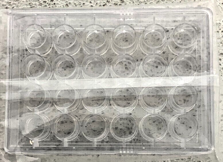 NEW Lot of 8 Fisherbrand Flat Bottom Sealed Tissue Culture Plates 24 Wells 258E_2 NEW Lot of 8 Fisherbrand Flat Bottom Sealed Tissue Culture Plates 24 Wells 258E