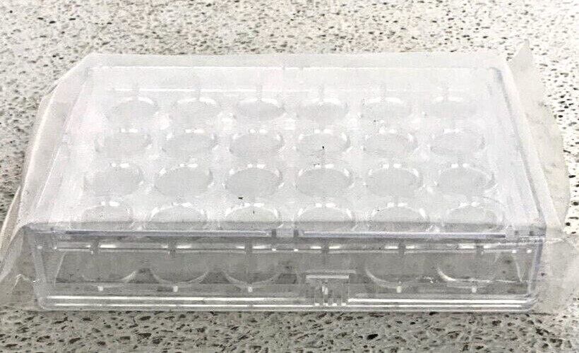 NEW Lot of 8 Fisherbrand Flat Bottom Sealed Tissue Culture Plates 24 Wells 258E_4 NEW Lot of 8 Fisherbrand Flat Bottom Sealed Tissue Culture Plates 24 Wells 258E