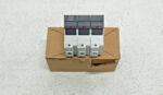 NEW Allen Bradley 1492-FB3J60-L 3 Pole 60A 600V Fuse Holder Ser B Class J 231A