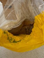 NEW Caterpillar 4P9076 Diesel Engine GP Fuel Injector Genuine OEM 4P-9076 266C