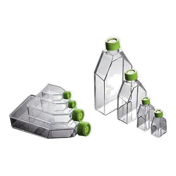 New Avantor / VWR 10062-864 / 734 2315 Tissue Culture Flask Vented Cap 182.5cm²_0 New Avantor / VWR 10062-864 / 734 2315 Tissue Culture Flask Vented Cap 182.5cm²