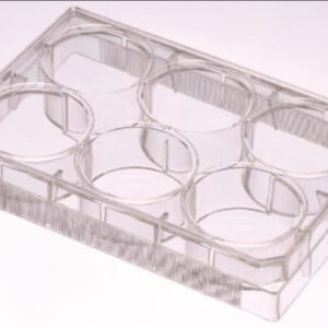 New Case of 50pcs Avantor / VWR 10062-892 Tissue Culture Plate 6-Well Sterile