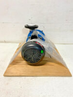 NEW Weg T-Mag 5036ES1BW56CFL-S TM4HC-EC-TF-090-AA 1/2 HP Pump & Motor 1-1/2"