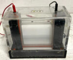 Owl P9DS Dual Gel Electrophoresis System Vertical Class 2 600V 200mA 255B